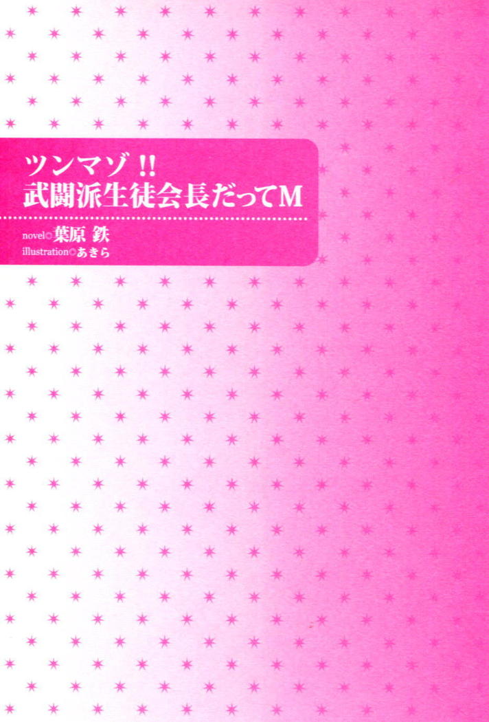 ツンマゾ!!　武闘派生徒会長だってM