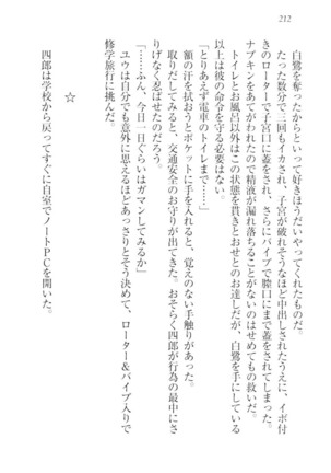 ツンマゾ!!　武闘派生徒会長だってM - Page 214