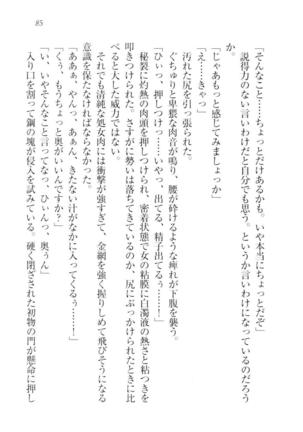 ツンマゾ!!　武闘派生徒会長だってM - Page 87