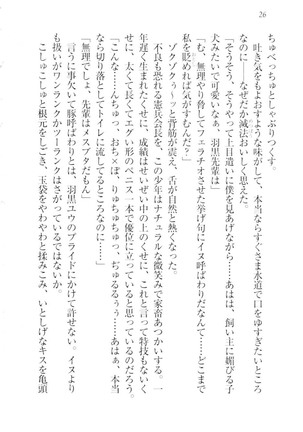 ツンマゾ!!　武闘派生徒会長だってM - Page 28