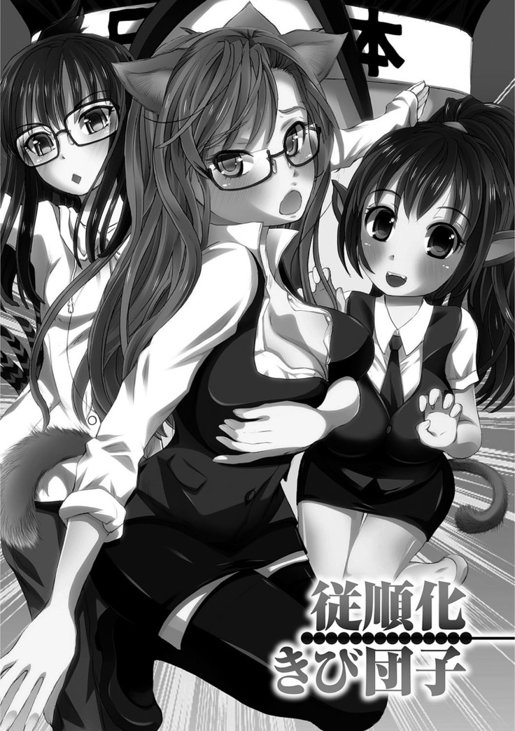 Kanzen Ryoujoku Nisshi