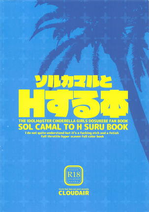 SOL CAMAL TO H SURU BOOK Page #16
