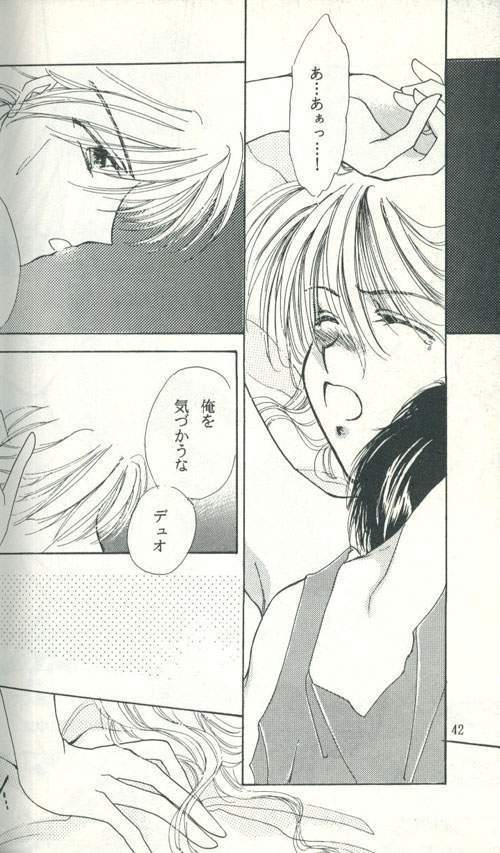 Untitled Meishou Misettei