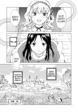 Hime-sama to Dorei-chan | 공주님과 노예쨩 Page #2