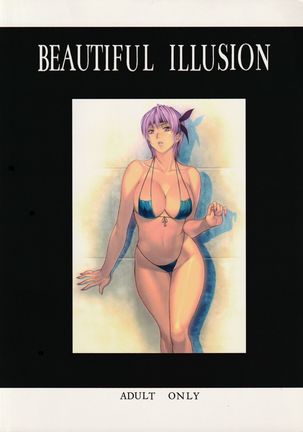 Beautiful Illusion 10 Page #18