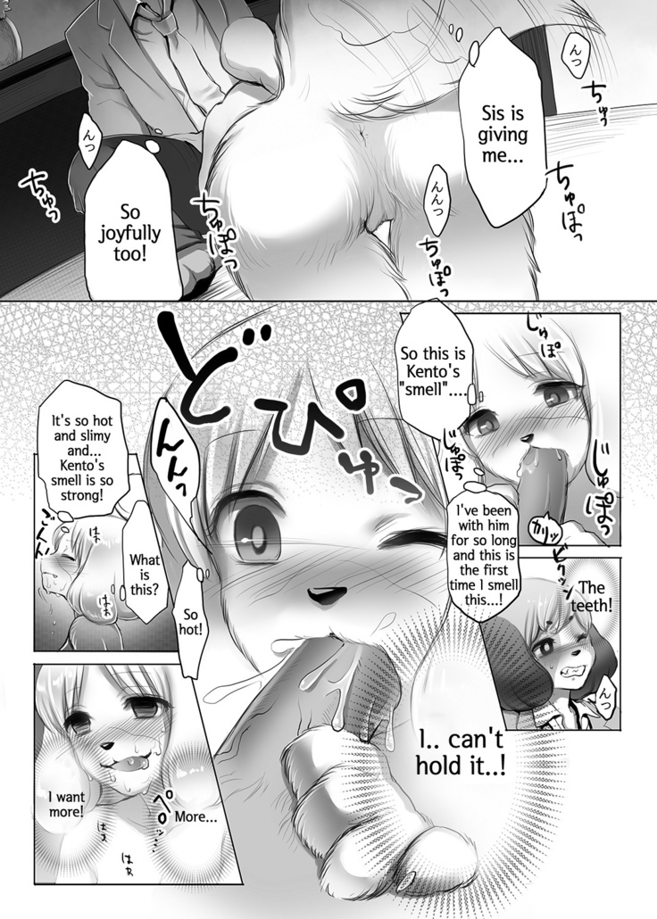 Shizue-san no Chome Chome