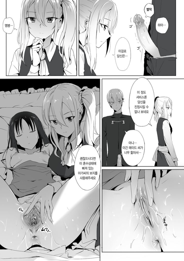 Shinomiya no Maid wa Tokojyouzu~ Professional Jintai Onahole