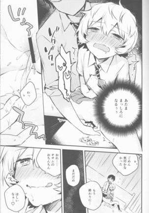 Trion Hokyuu System Jikken Kiroku Page #14