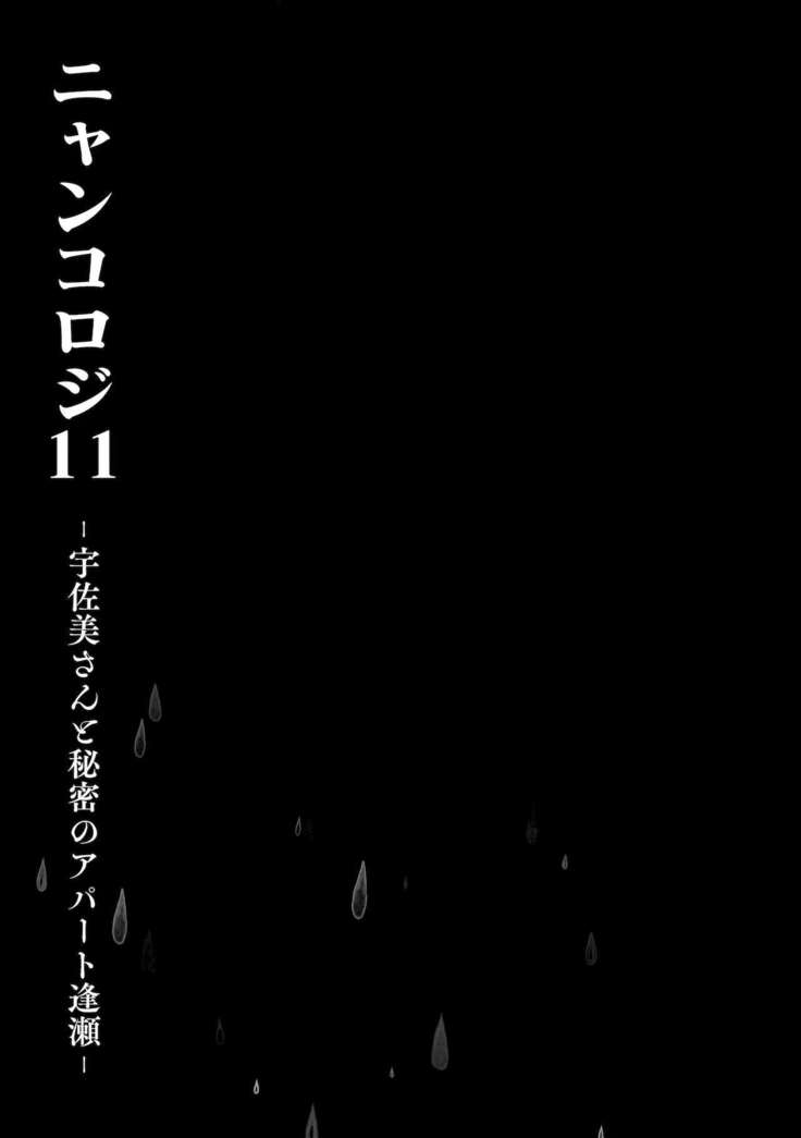Nyancology11 -Usami-san to Himitsu no Apart Ouse-
