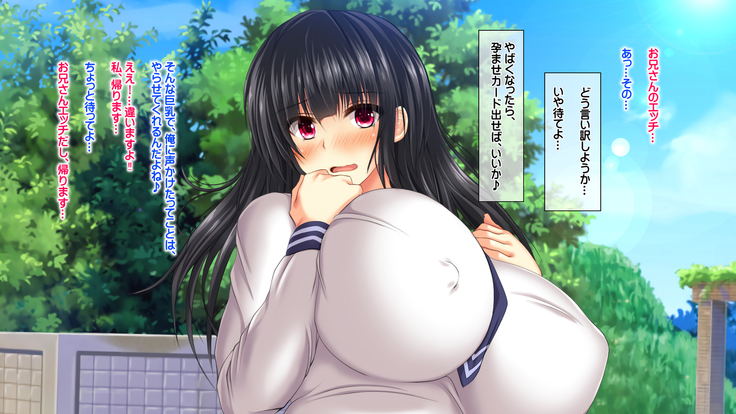 孕ませカード 町の女全員種付けして孕ませポイント還元！