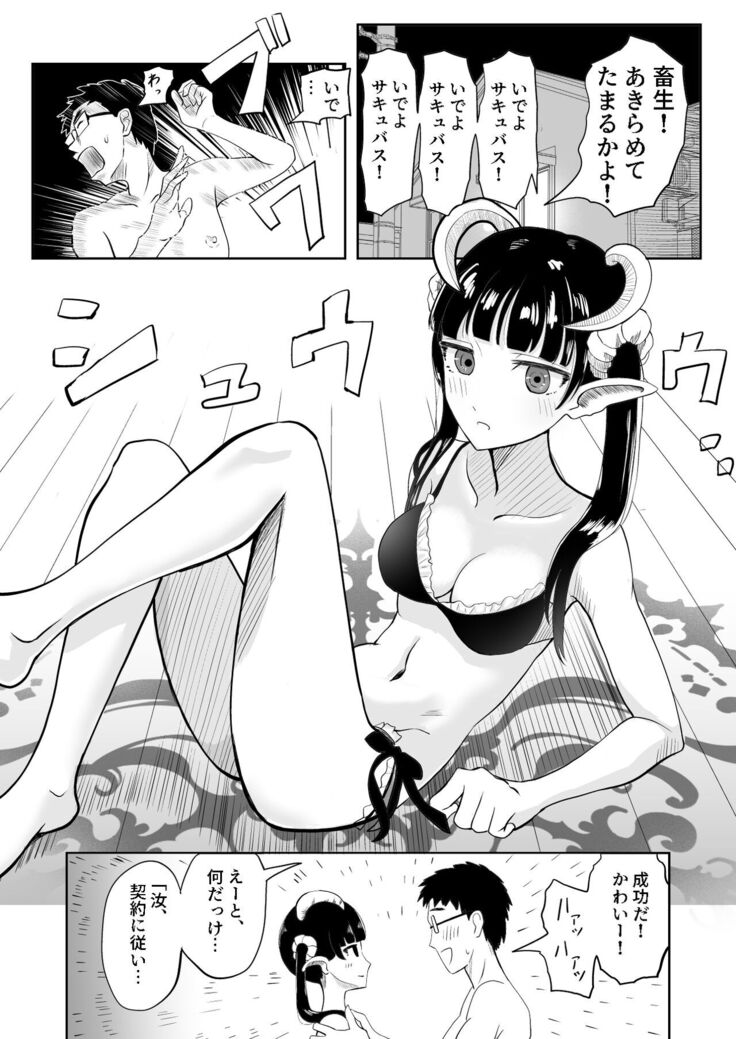 Succubus Renzoku Shoukan