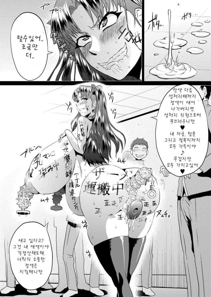 Rin no Inran Funtouki  | 린의 음란 분투기