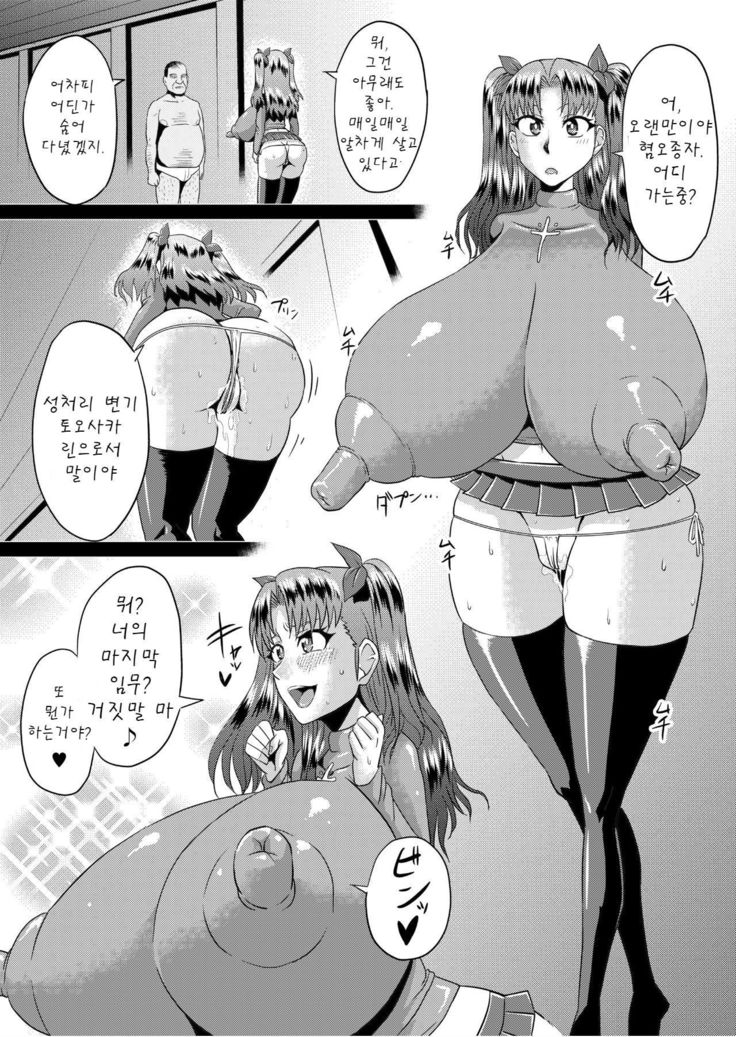 Rin no Inran Funtouki  | 린의 음란 분투기