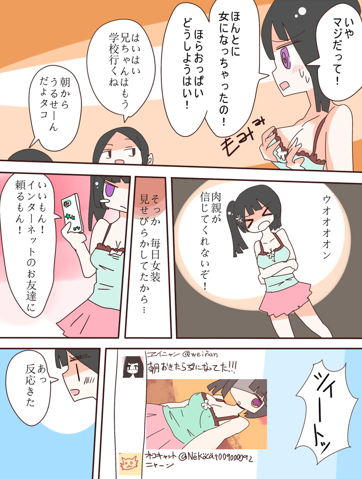 ねえ、女の子になっちゃったってば!