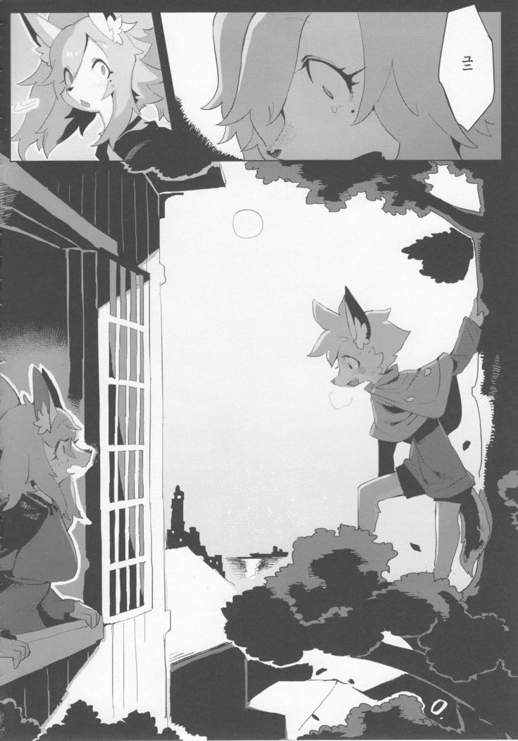 Otto ga inainode/ denki-shiki