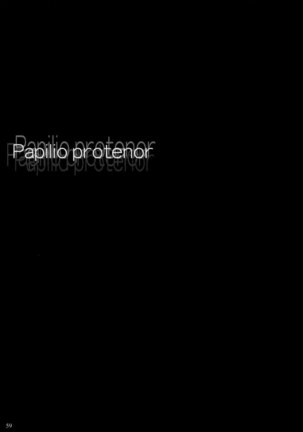 Papilio Protenor Page #57