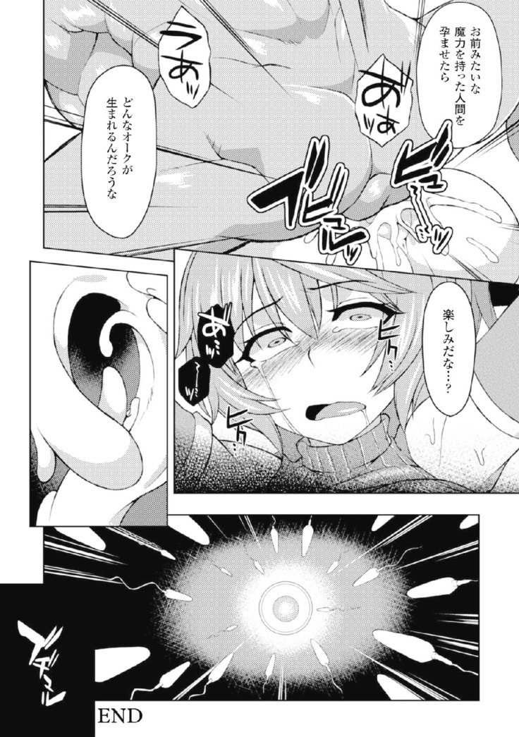 二次元コミックマガジン 危険日に膣内射精される女たちVol.2