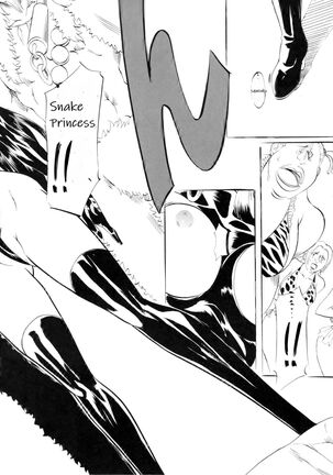 Image 11296166