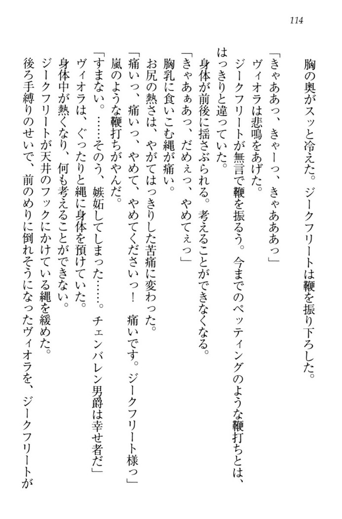 魔剣の魔メイドと魔の祝福