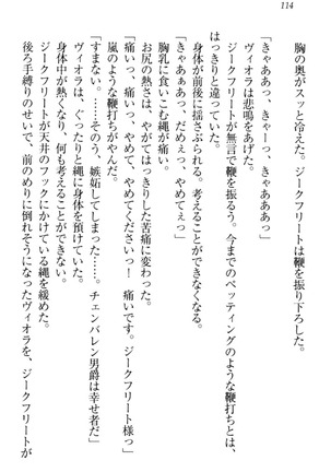 魔剣の魔メイドと魔の祝福 Page #124