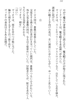 魔剣の魔メイドと魔の祝福 Page #242