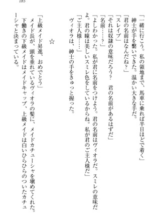 魔剣の魔メイドと魔の祝福 Page #195