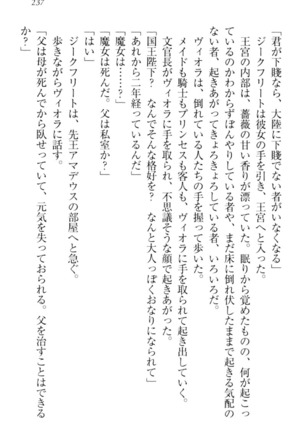 魔剣の魔メイドと魔の祝福 Page #247