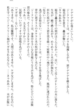 魔剣の魔メイドと魔の祝福 Page #113