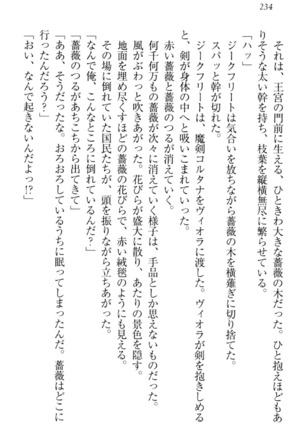 魔剣の魔メイドと魔の祝福 Page #244