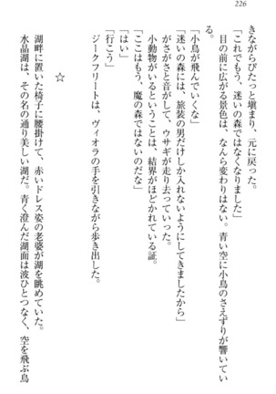 魔剣の魔メイドと魔の祝福 Page #236
