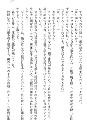 魔剣の魔メイドと魔の祝福 Page #167