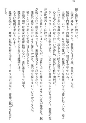 魔剣の魔メイドと魔の祝福 Page #80
