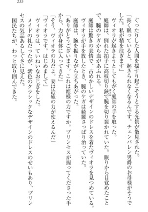 魔剣の魔メイドと魔の祝福 Page #245