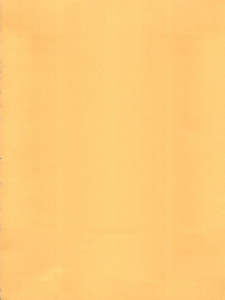 ORANGE PIE Vol.3