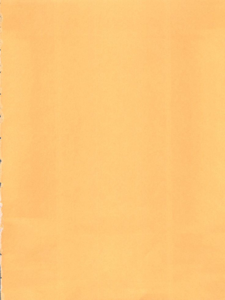 ORANGE PIE Vol.3