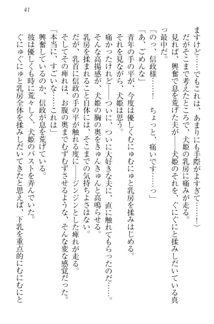 戦国犬姫！