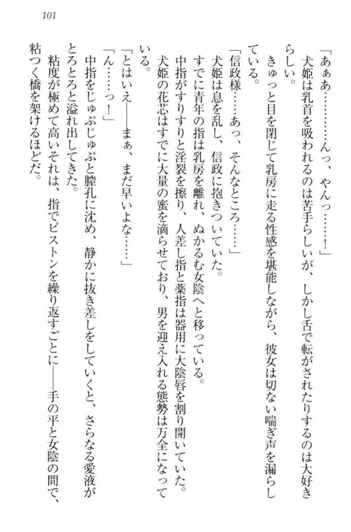 戦国犬姫！