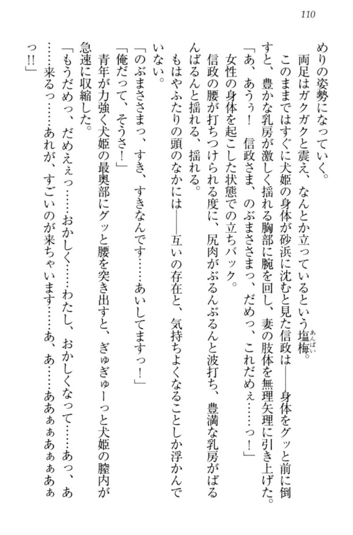 戦国犬姫！