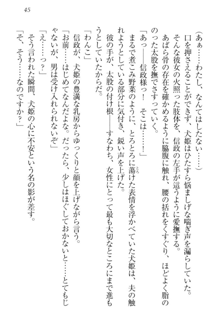 戦国犬姫！