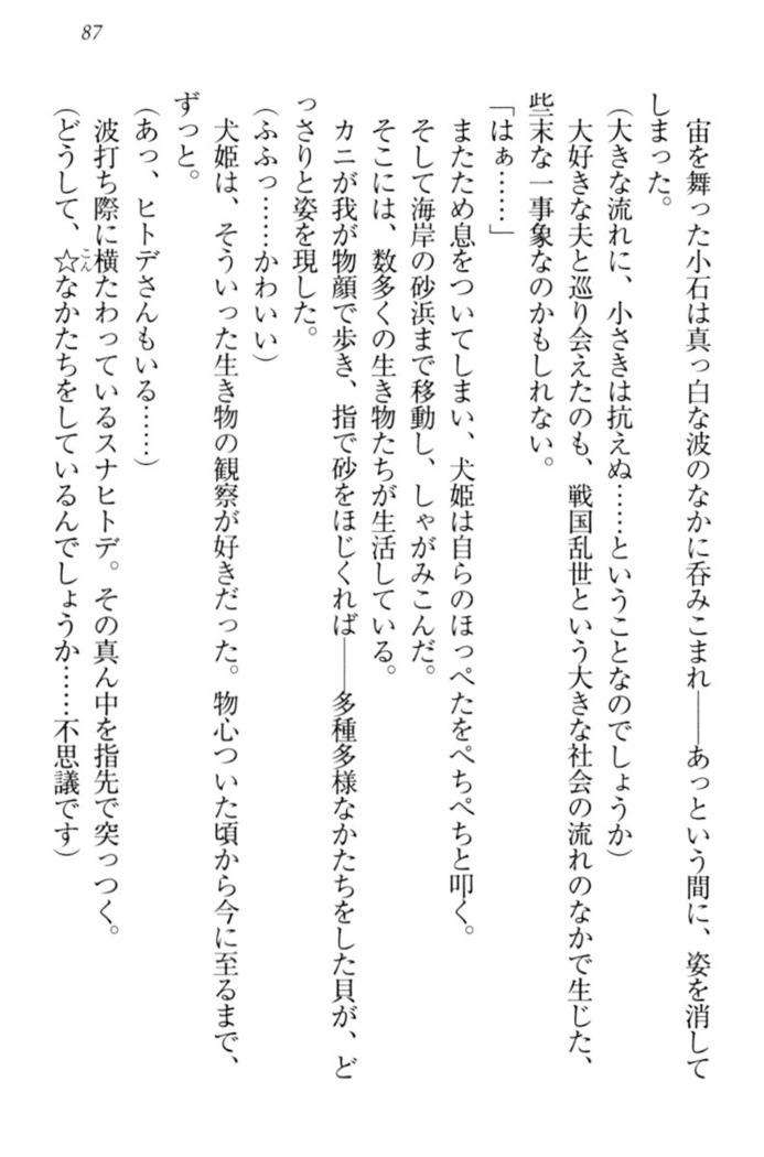 戦国犬姫！