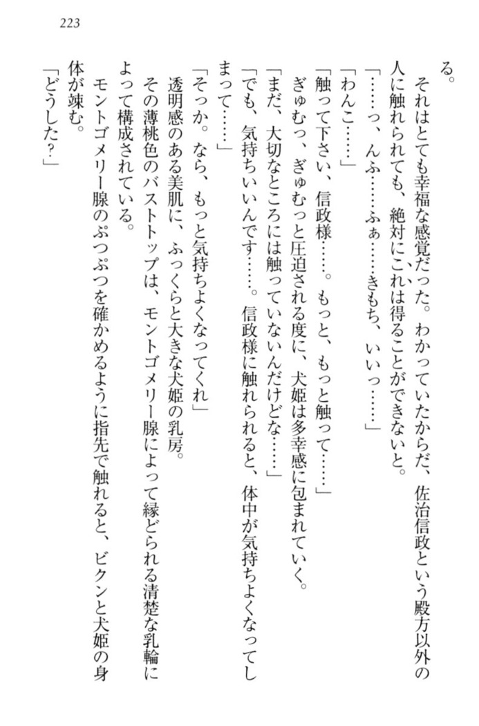 戦国犬姫！