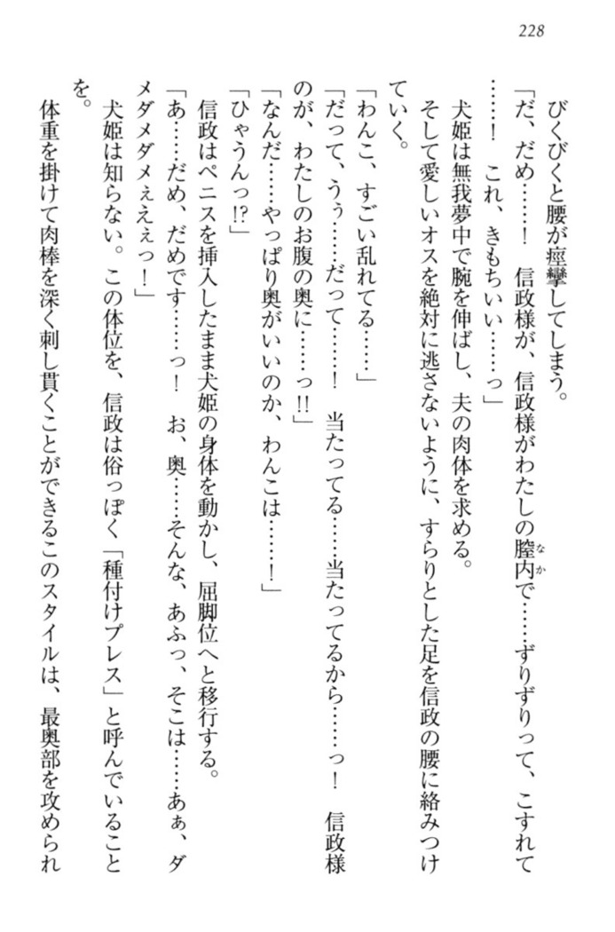 戦国犬姫！