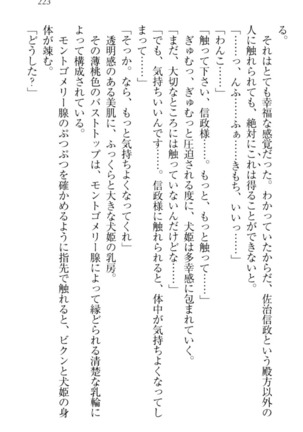 戦国犬姫！ Page #233
