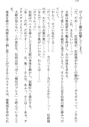 戦国犬姫！ Page #238