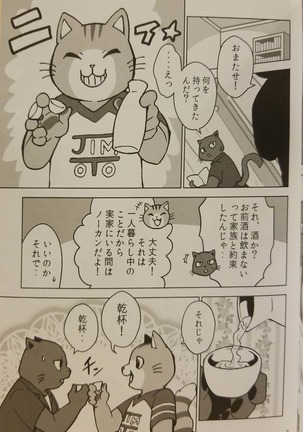 Image 7309776