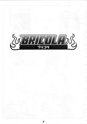 BRICOLA - Page 3