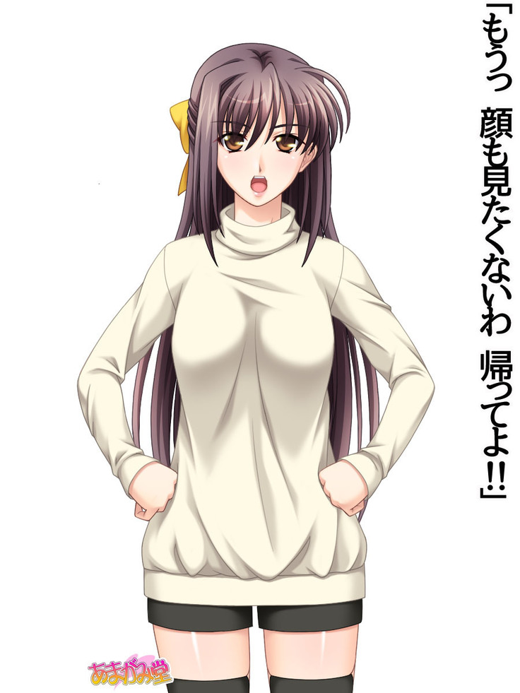 姉妹スワップ 第 1~10 話