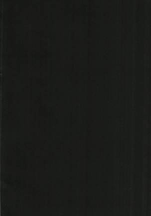 Image 3158748