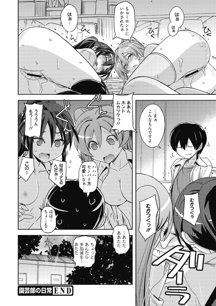 Sweet Meet