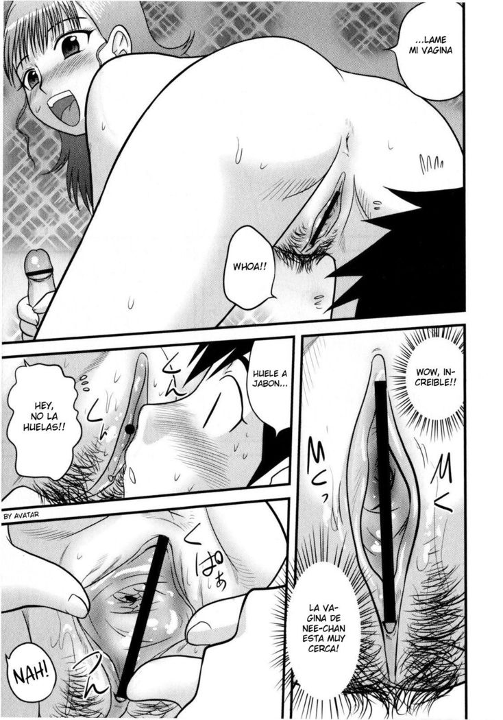 In Shu Ane  Hot Drunk Sister